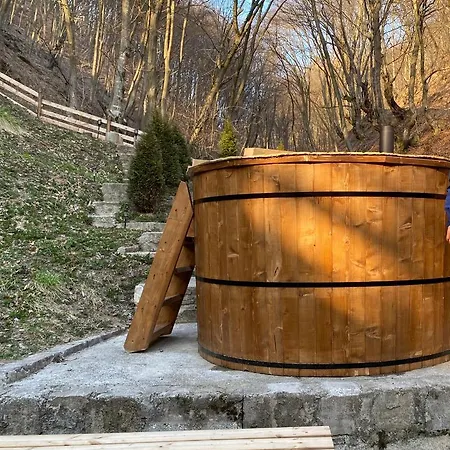 Căsuța Din Pădure B&B Hunedoara