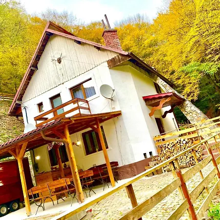 Căsuța Din Pădure * Hunedoara