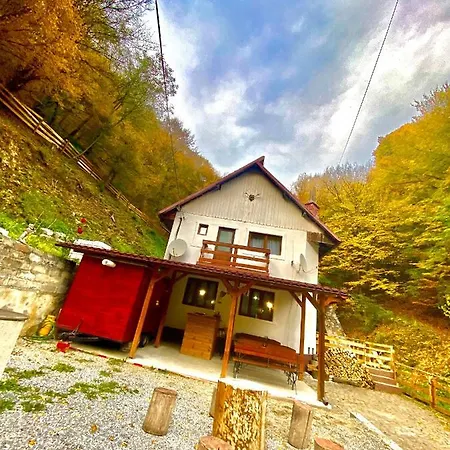 Căsuța Din Pădure * Hunedoara