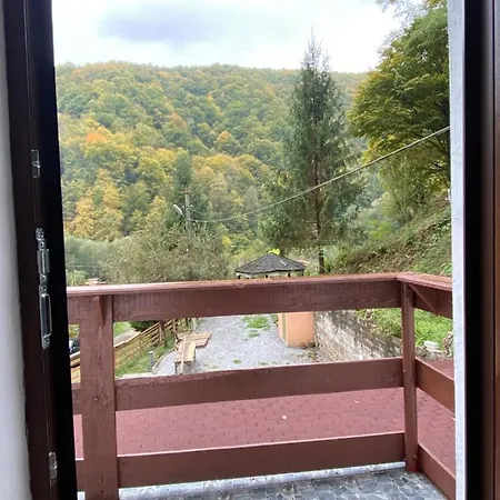 Căsuța Din Pădure Hunedoara