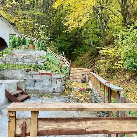 Căsuța Din Pădure Hunedoara
