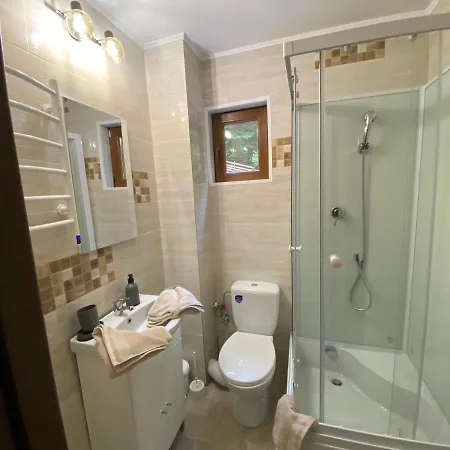 Căsuța Din Pădure B&B Hunedoara