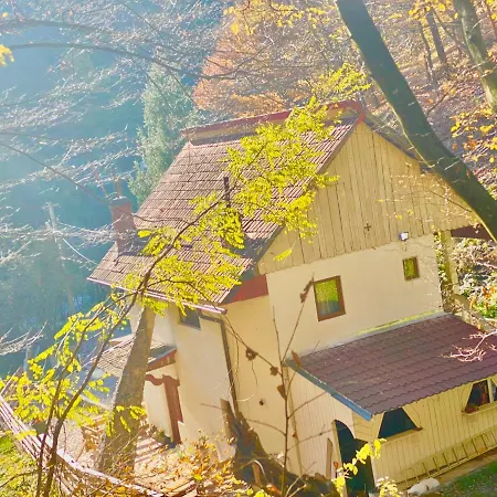 B&B Căsuța Din Pădure *
