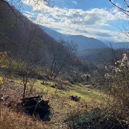 B&B Căsuța Din Pădure Hunedoara