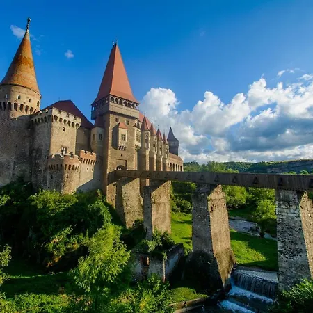 Căsuța Din Pădure B&B