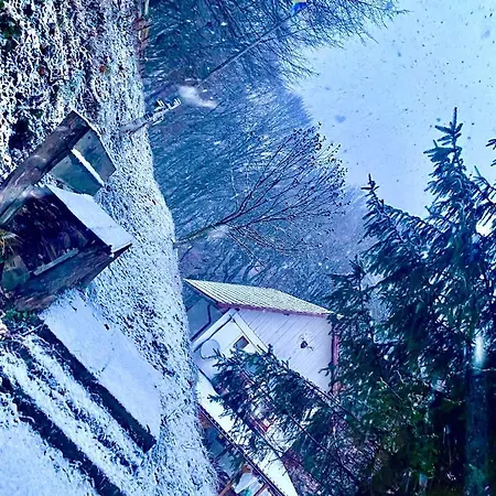 Căsuța Din Pădure Hunedoara