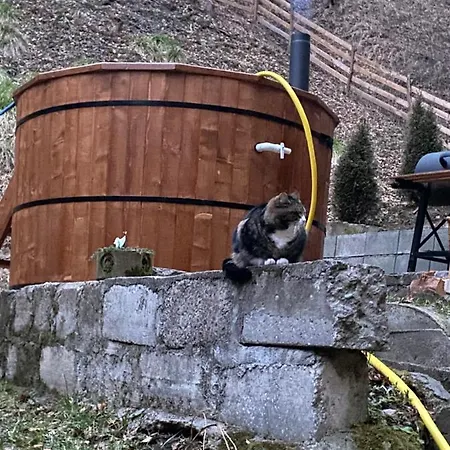 Căsuța Din Pădure B&B