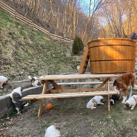Căsuța Din Pădure * Hunedoara