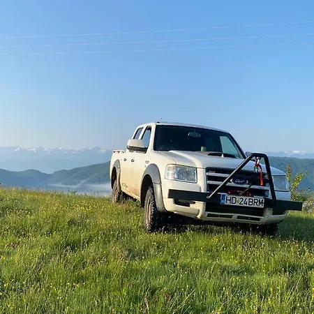 Căsuța Din Pădure B&B