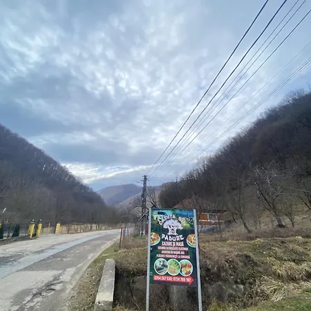Căsuța Din Pădure B&B