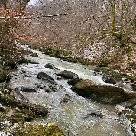 B&B Căsuța Din Pădure *