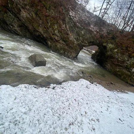 Căsuța Din Pădure *