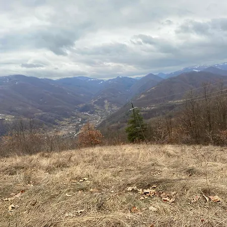 B&B Căsuța Din Pădure