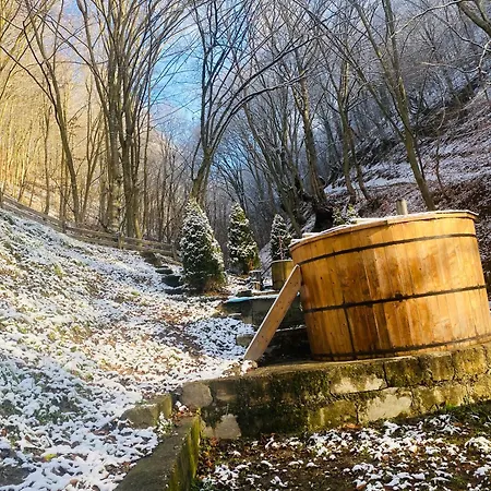 B&B Căsuța Din Pădure Hunedoara